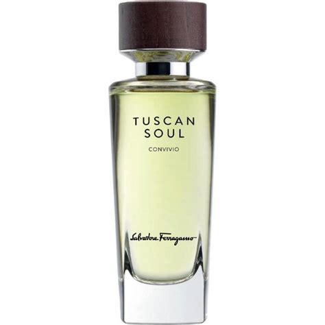 salvatore ferragamo tuscan soul convivio.